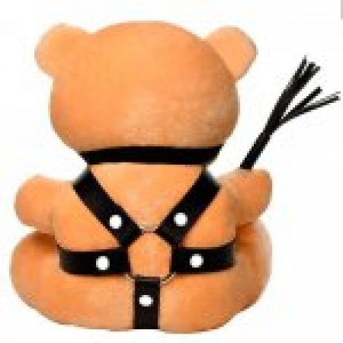 Oso de peluche BDSM