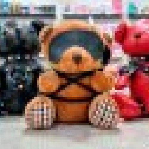 Osos de Peluche BDSM Oviedo