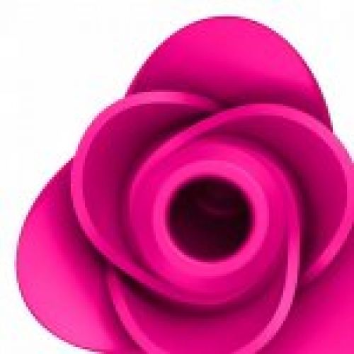SATISFYER PRO 2 MODERN ROSE de SEX QUALITY en OVIEDO, Asturias. Consulte nuestro catálogo