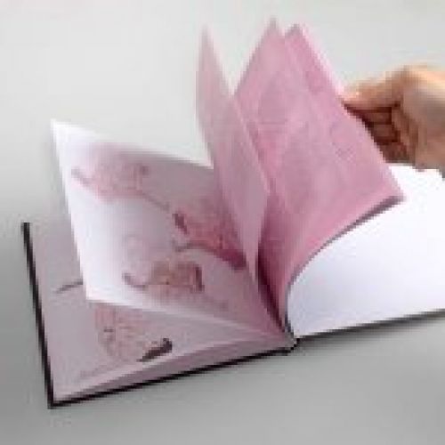 libro kamasutra 5