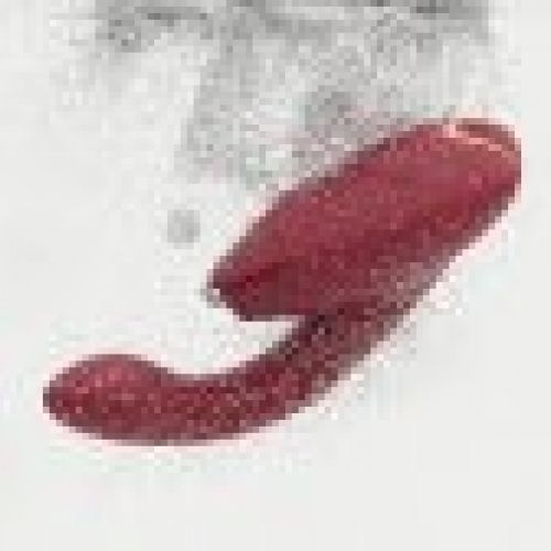 WOMANIZER DUO 2 BORDEAUX