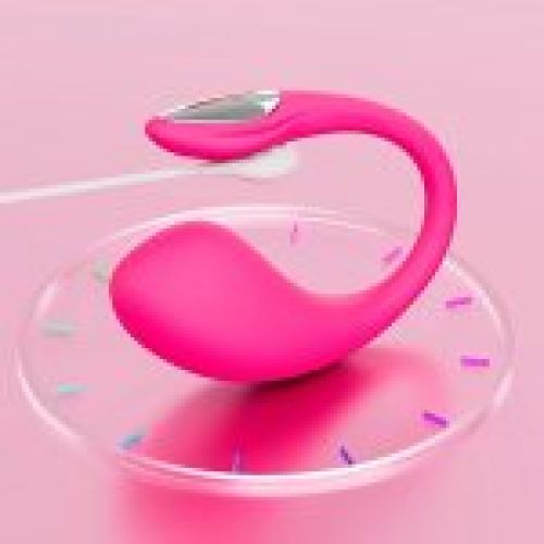 LOVENSE LUSH 4