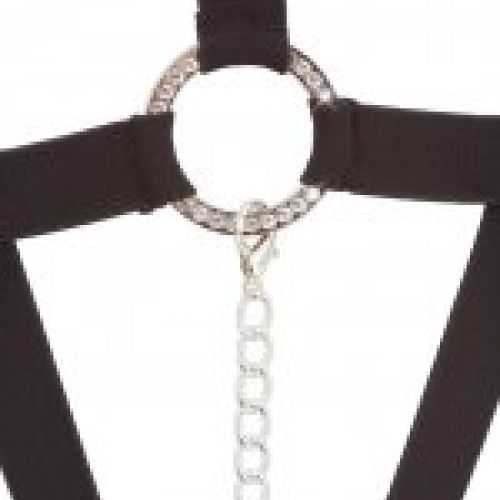 BK Strap Body 2492237 (2)