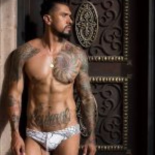 Masturbadores Fleshlight men