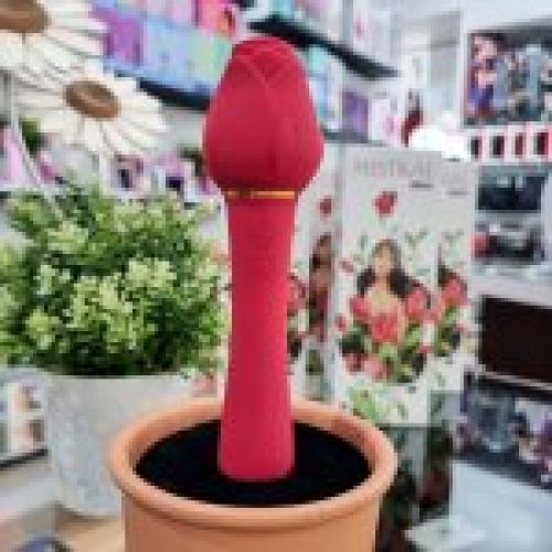 rosa succionador vibrador en asturias