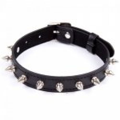 collar con tachuelas