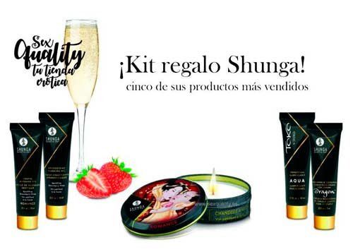 SHUNGA Geisha Secrets