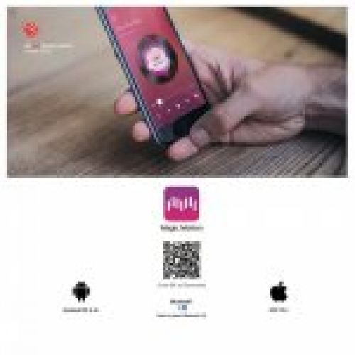magic motion vibrador flamingo app 2