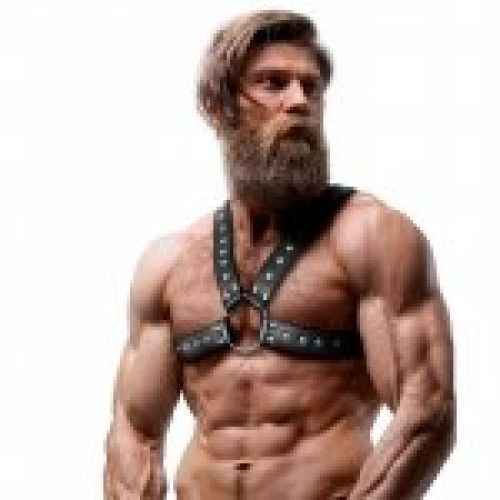 Arnés Pecho Hombre Cruzado