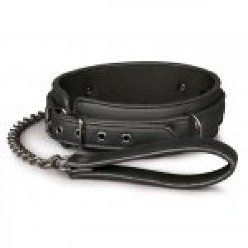 collar con correa (5)