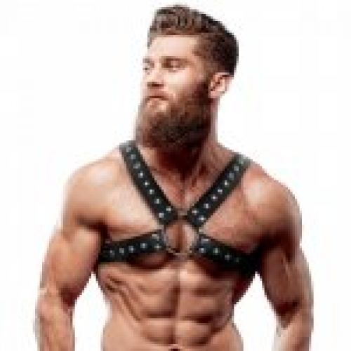 Arnés Pecho Hombre Cruzado