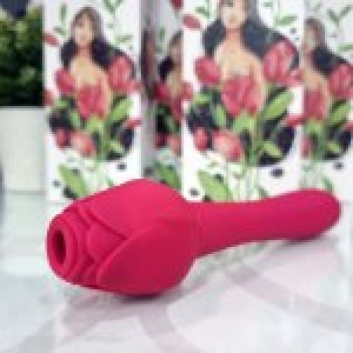 succionador y vibrador con forma de flor oviedo