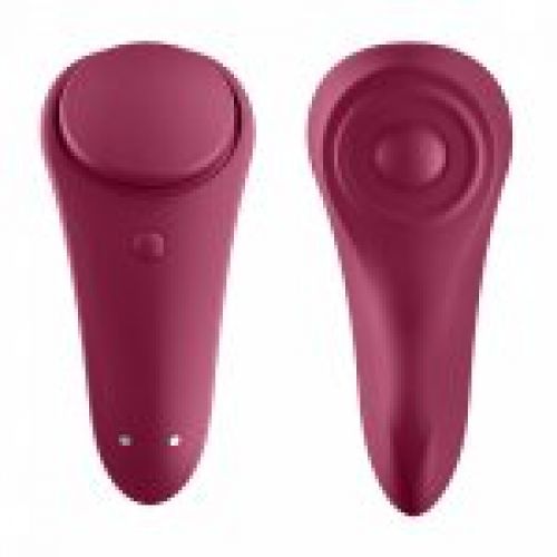 SATISFYER SEXY SECRET PANTY (3)