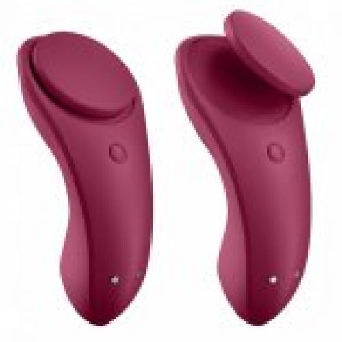 SATISFYER SEXY SECRET PANTY (2)
