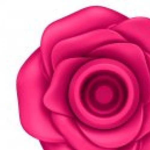 SATISFYER PRO 2 CLASSIC ROSE