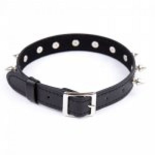 collar con tachuelas (2)