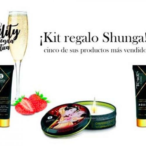 SHUNGA Geisha Secrets