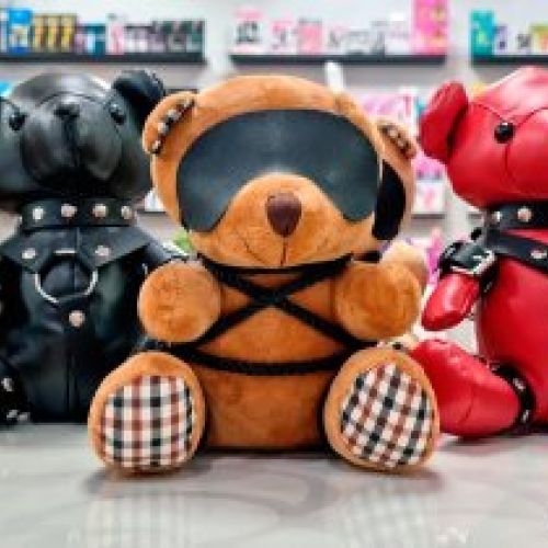 Osos de Peluche BDSM Oviedo
