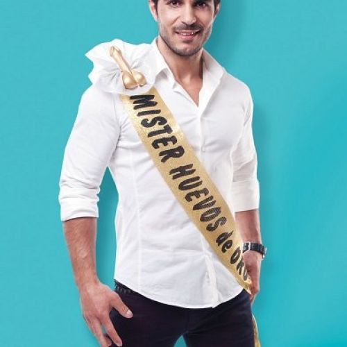 BANDA MISTER HUEVOS DE ORO