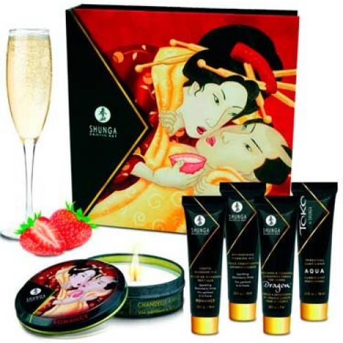 SHUNGA Geisha Secrets
