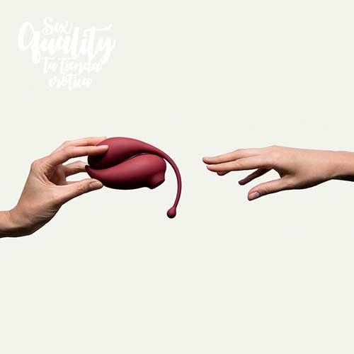 juguetes sexuales para parejas