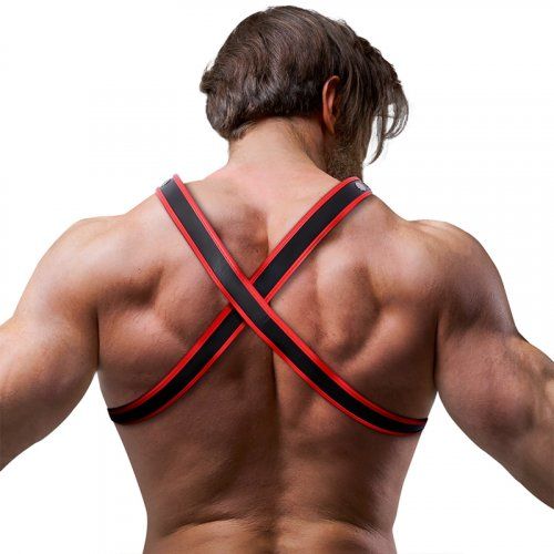 Arnés Pecho Hombre Bulldog