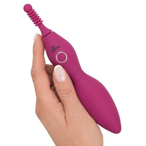 Vibrador Puntero Spot Vibrator With 3 Tips